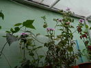 DSCN8182