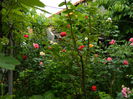 DSCN8209