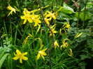 DSCN8217