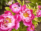 P1240402
