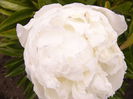 P1240412