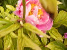 P1240427