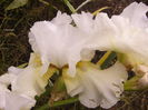 P1240444