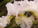 P1240446