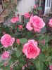 20150528_191736