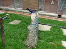 DSC09489