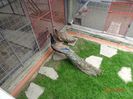 DSC09509