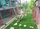 DSC09589