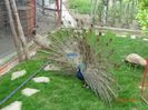 DSC09609