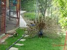 DSC09647