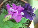 DSCN7648