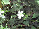DSCN7656