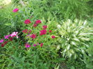 DSCN7668