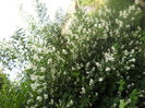 DSCN7670