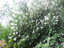 DSCN7671
