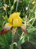 DSCN7703
