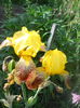 DSCN7704