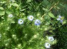 DSCN7720