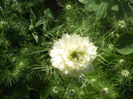 DSCN7722
