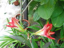 DSCN7724