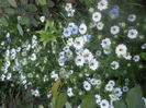 DSCN7797