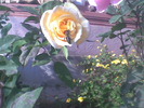 Imag002
