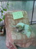 DSCN7866