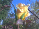Imag005