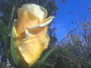 Imag006