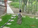 DSC09597