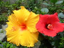 SAM_5452