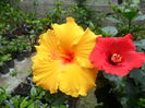 SAM_5453