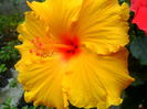 SAM_5455