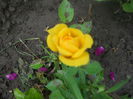 DSCN7747