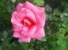 DSCN7752