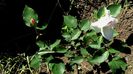 DSC02219