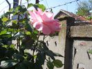 my photo 359