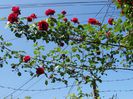 my photo 360
