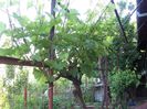 my photo 372