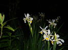DSCN8376