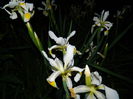 DSCN8378