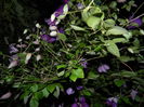 DSCN8419