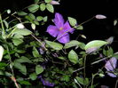 DSCN8426