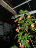 DSCN8435