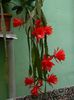 DSCN8438