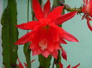 DSCN8439