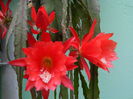 DSCN8440