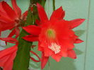 DSCN8441