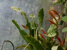 DSCN8444