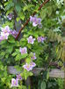 DSC03895